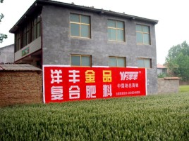 广安如何让墙体广告展现最大化效果