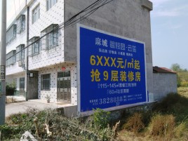 广安墙体广告质量分析