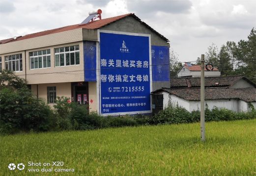 广安决定墙体广告价格的因素有哪些?